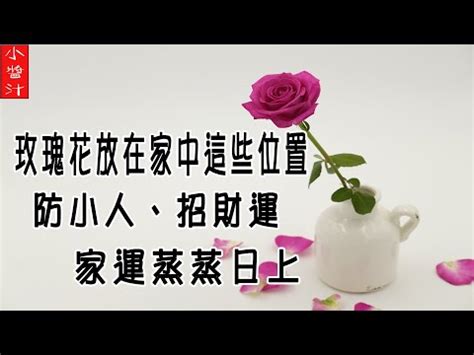 玫瑰海棠風水|【玫瑰風水】小心！玫瑰花風水禁忌大公開：招桃花、敗財運？